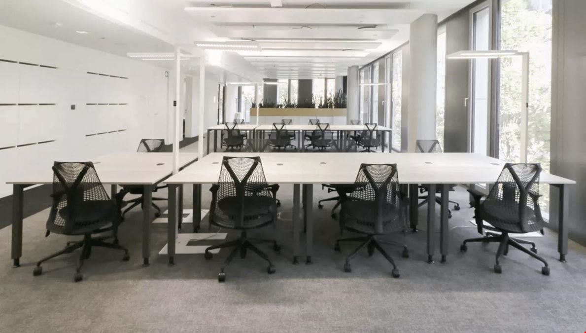 Scaling Spaces - Sono West