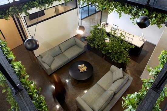 Preview of Collective_100 Office space for Rent in Cremorne