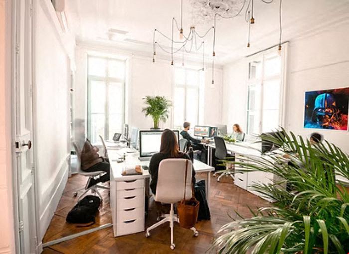 Lémurs Place du Marché aux Fleurs