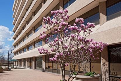 Preview of Oasis Office LLC Ivy Office space for Rent in Greenbelt