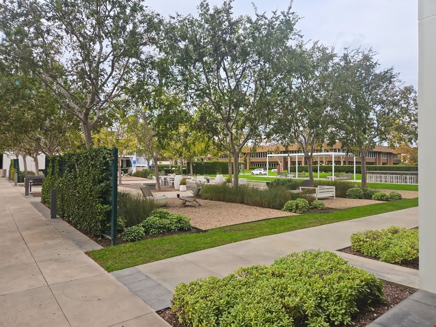 CA, Newport Beach - Dove Street