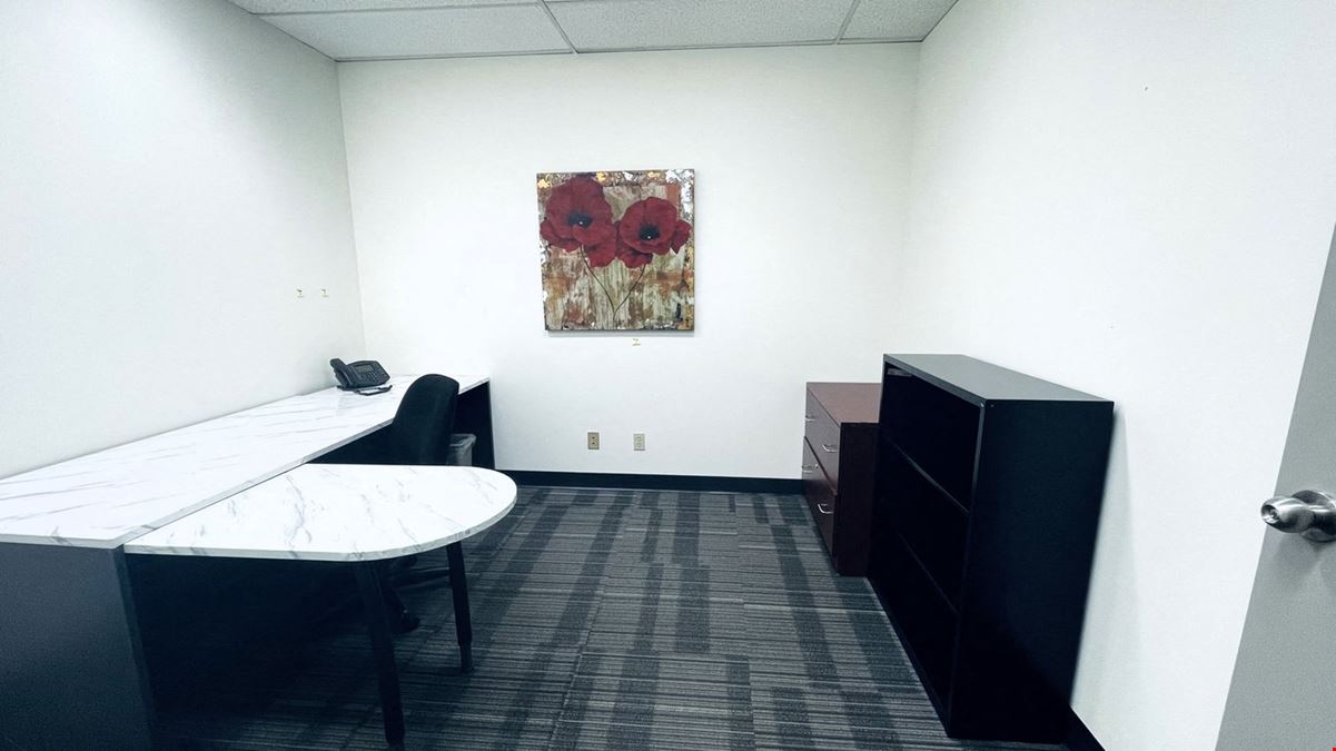 1163 Private office