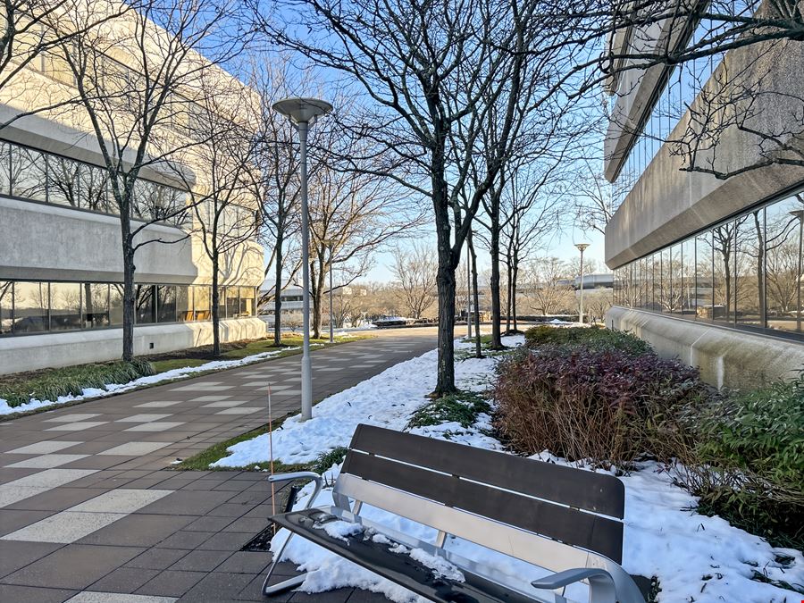 Regus - Rye Brook - International Dr