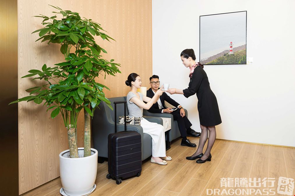 Landside - Plaza Premium Lounge (T3 Domestic) Jiangbei International Airport Terminal 3