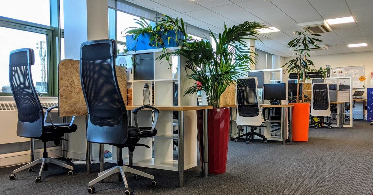 Republic Of Work - Cork