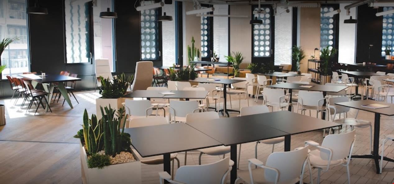 Fora - White Collar Factory