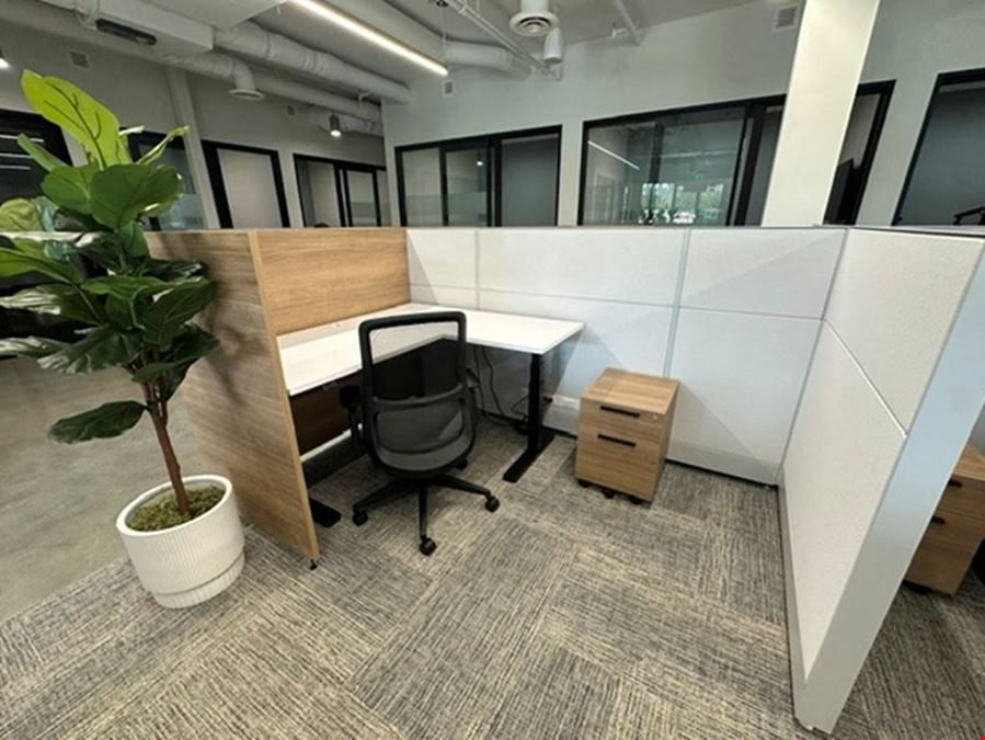 Standard Desk
