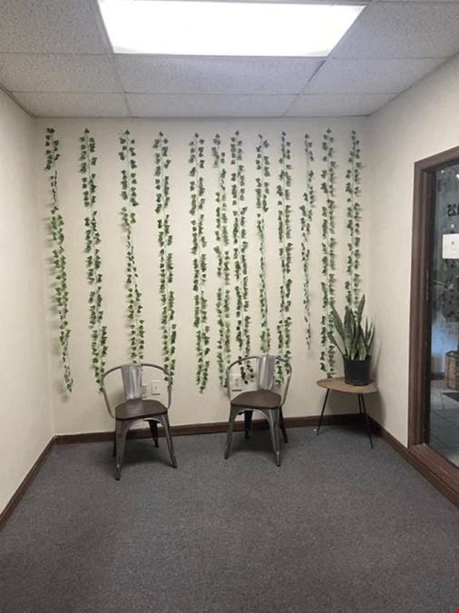 E-CEO Suites