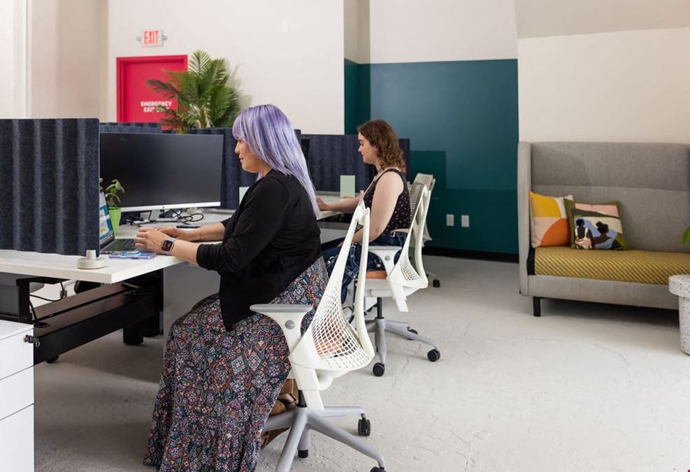 The Coven - Northeast