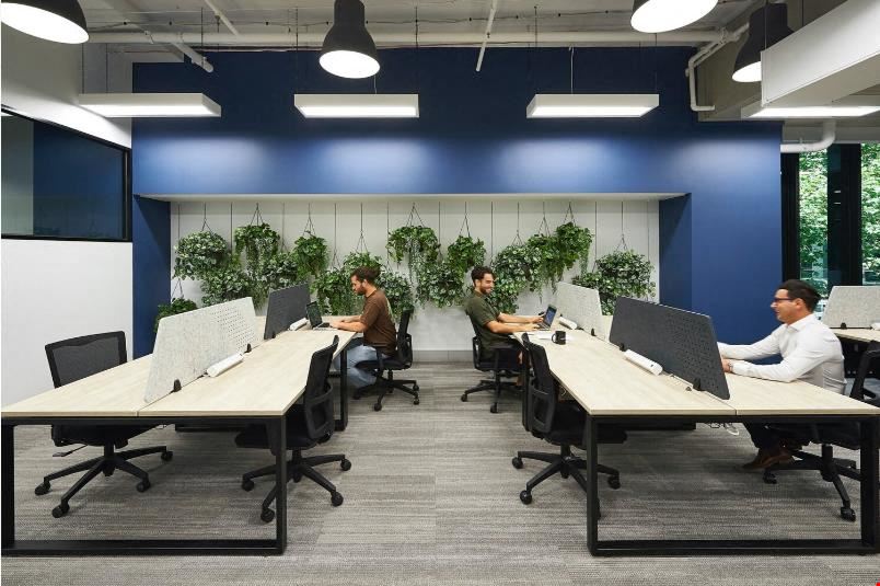 Altitude Cowork