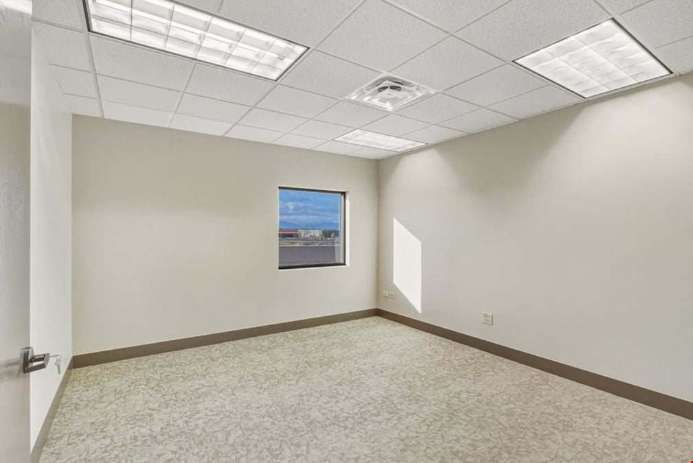 Studio 206