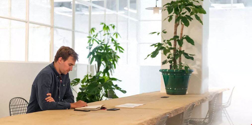 Fosbury & Sons - Alfons