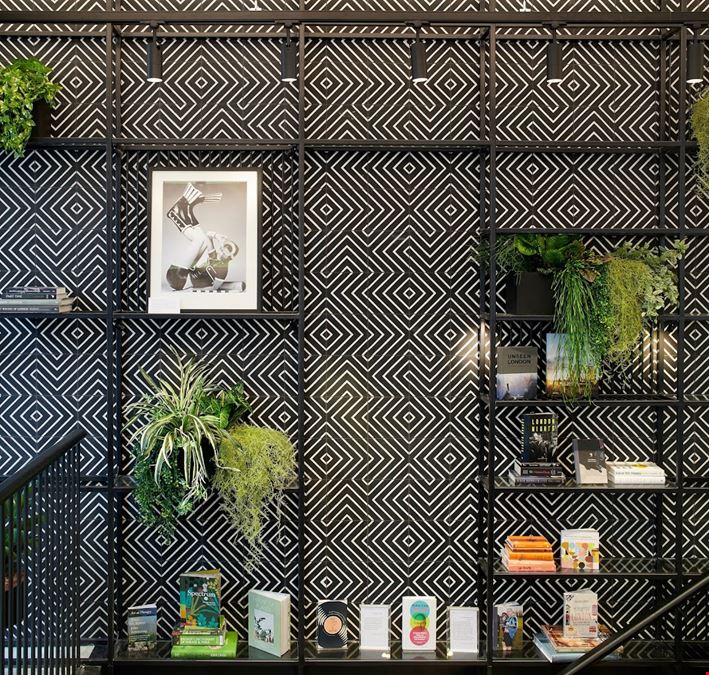 Fora - Fitzrovia - Eastcastle Street