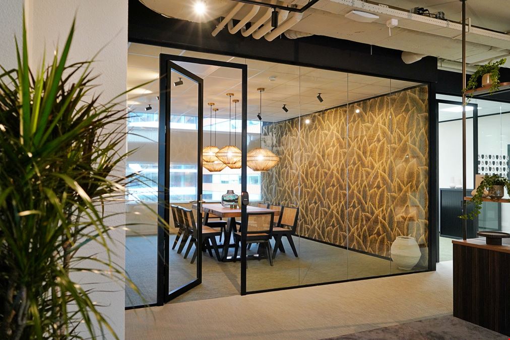 Tribes - Amsterdam FOZ