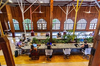 Preview of Pauline Coworking Office space for Rent in Puerto Escondido