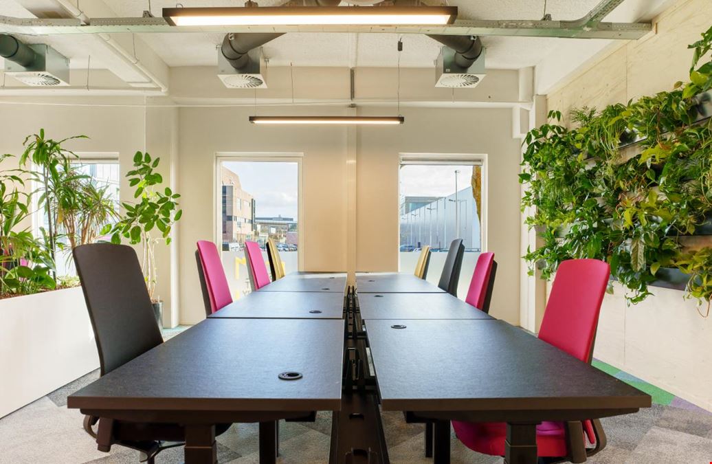 Social Impact Factory Kauwgomballenfabriek (Amsterdam)