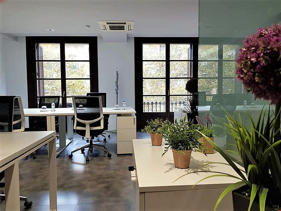 Networkia Business Center - Portal Del Angel