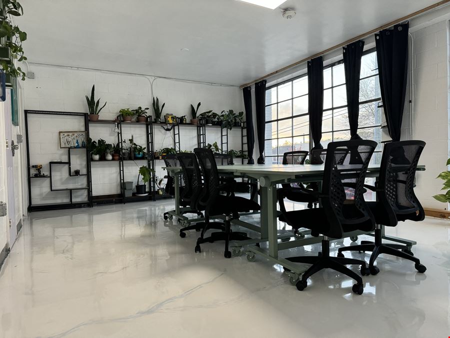 The Plant Apothecary