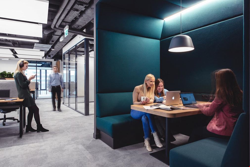 Mycowork Park Postepu