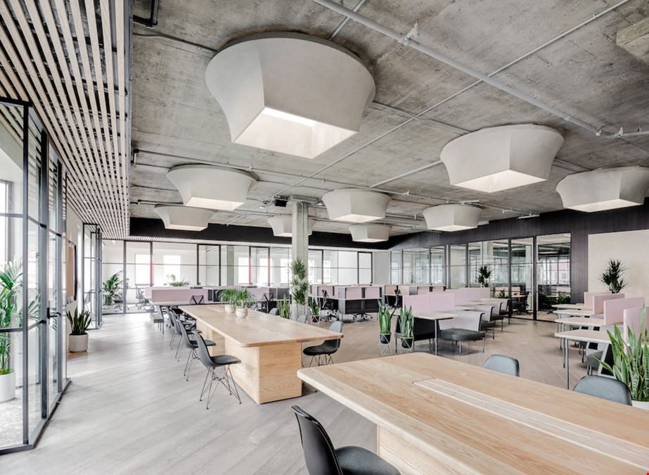 CANOPY - Jackson Square