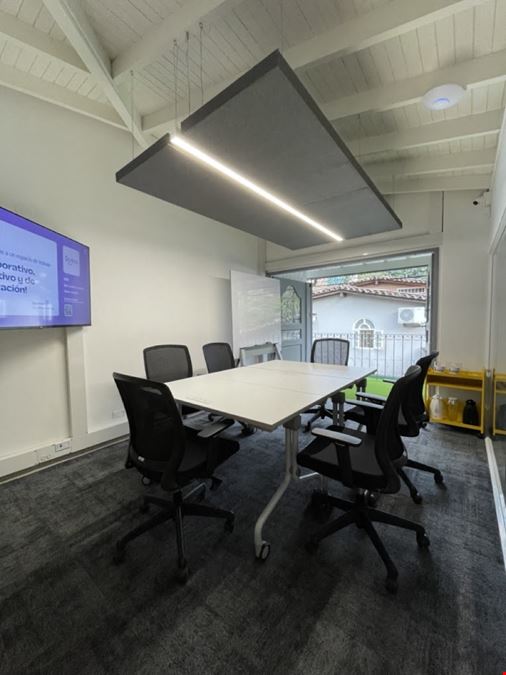 Quokka - Patio Bonito