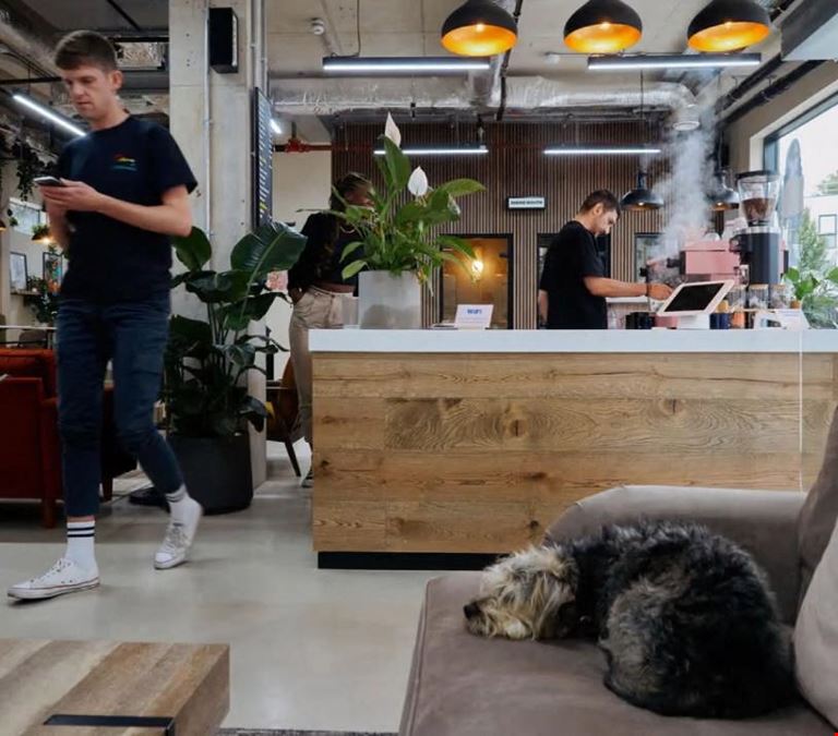 Drop-in - Clapton