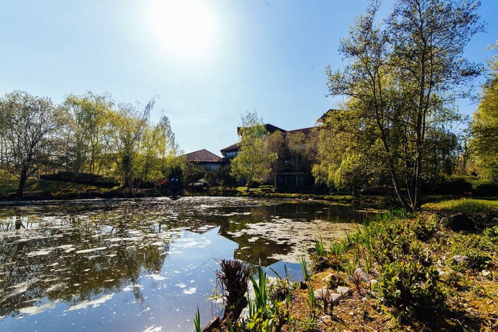 FigFlex - Peterborough