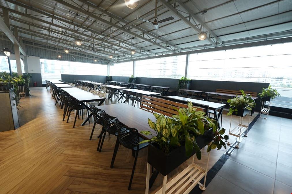 IndiQube - Miniforest