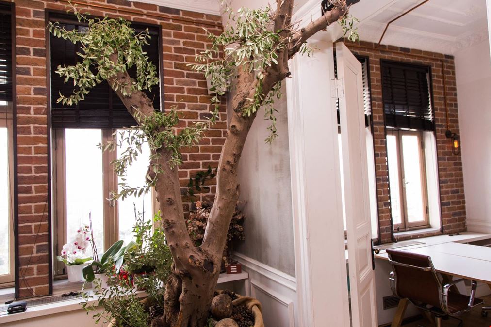 Kolektif House - Sishane