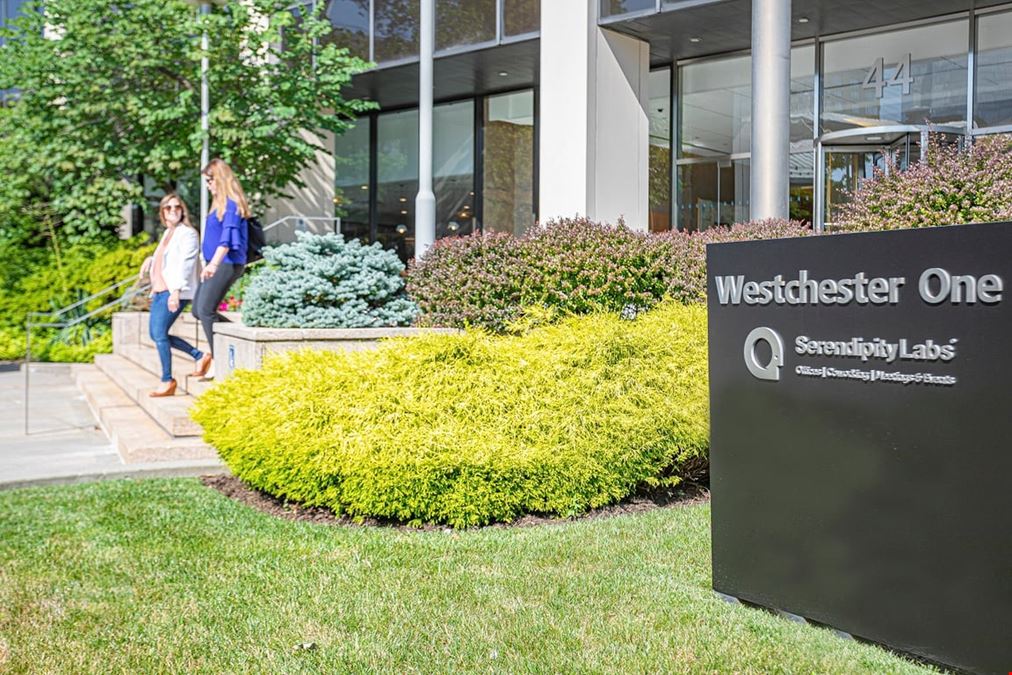 Serendipity Labs - White Plains