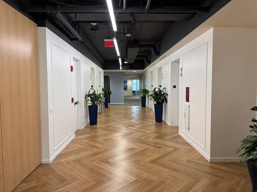 Carr Workplaces - Clarendon