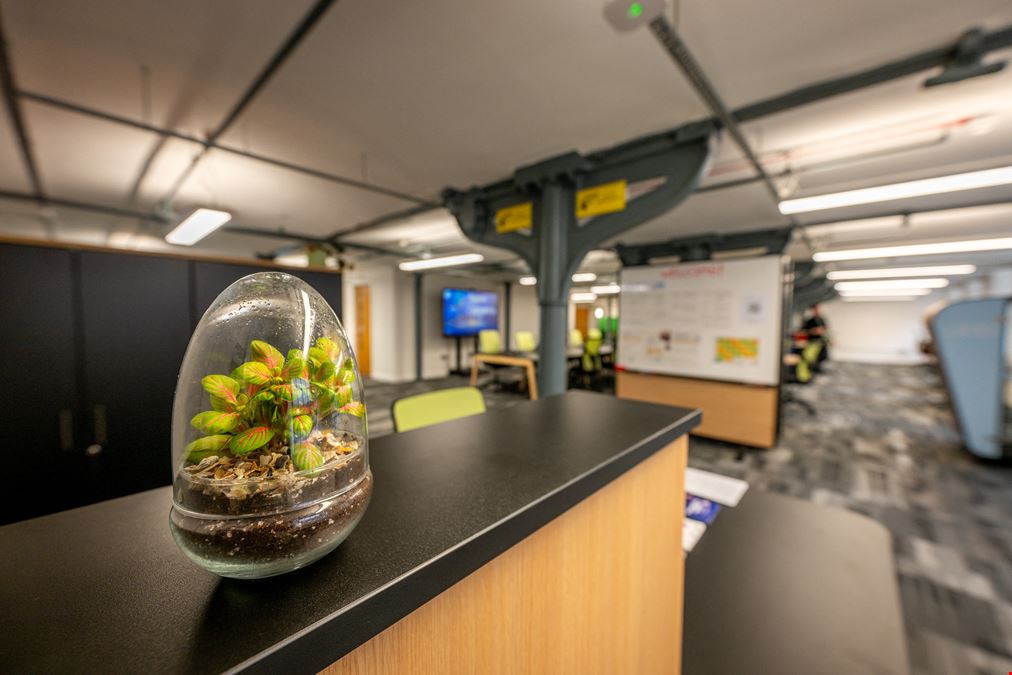 Generator - Royal Mills