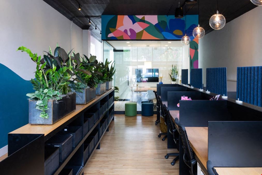 The Coven - East Lake