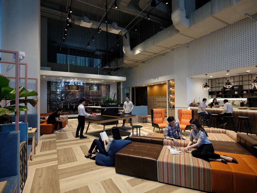 The Work Project - Ascent