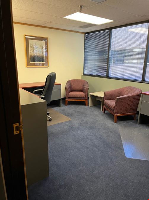 Centennial Executive Suites