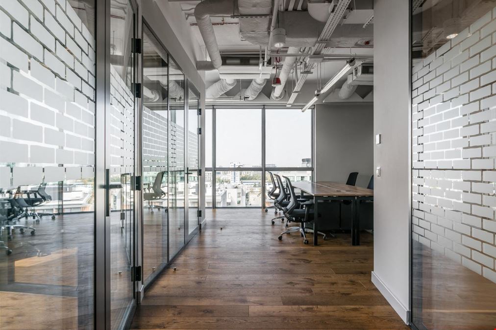 Brain Embassy Rzymowskiego