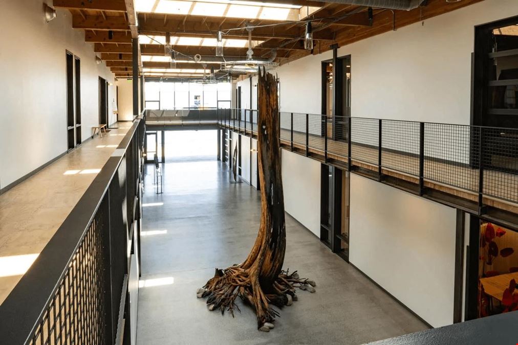 The Pioneer Collective - West Canal Yards