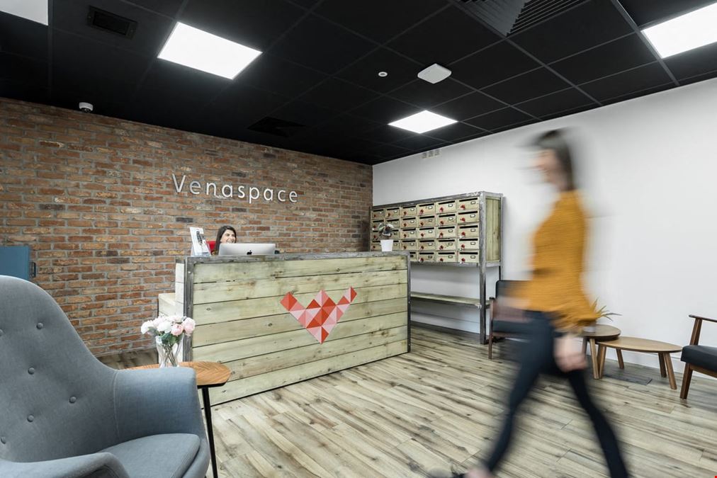 Venaspace - The Mount