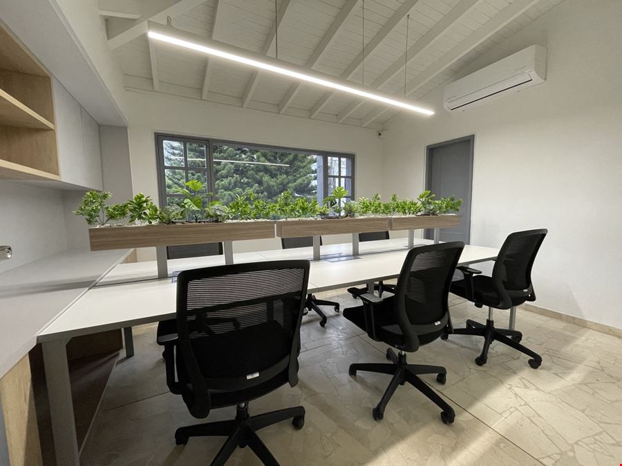 Quokka - Patio Bonito