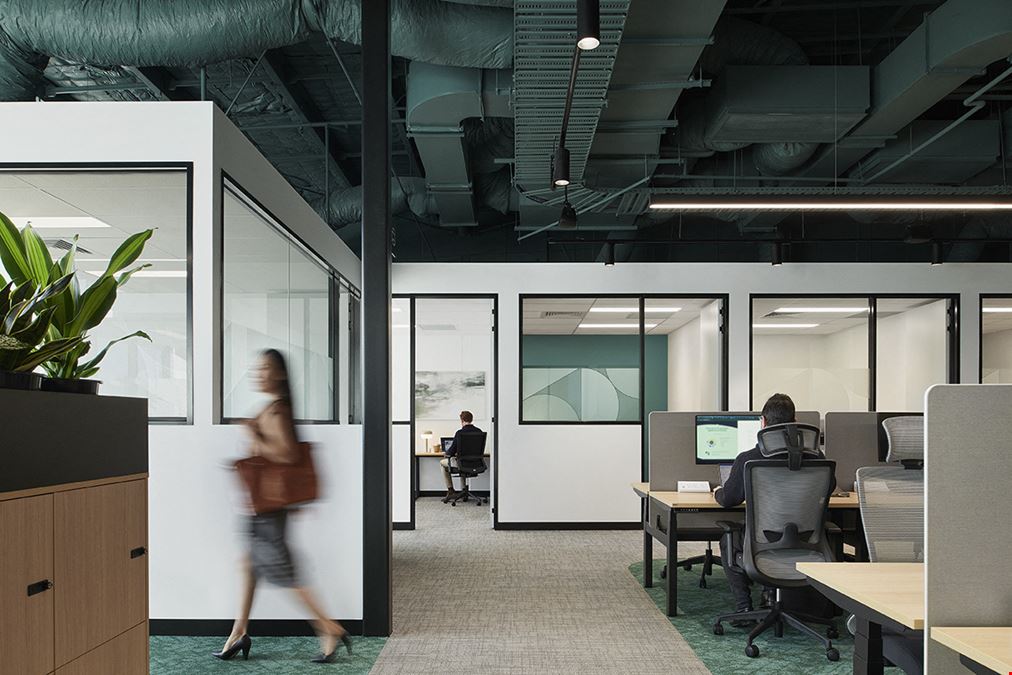 Waterman - Blackburn North