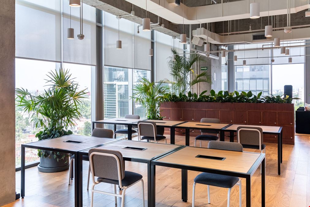 Insurgentes Sur 1079