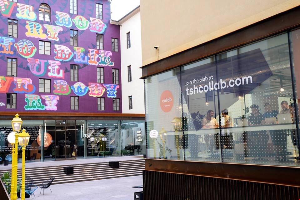 TSH Collab - Florence