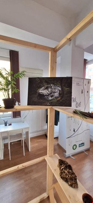 Tipografia COWorking Space