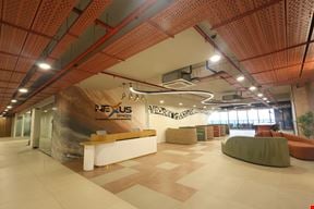 Nexus Spaces