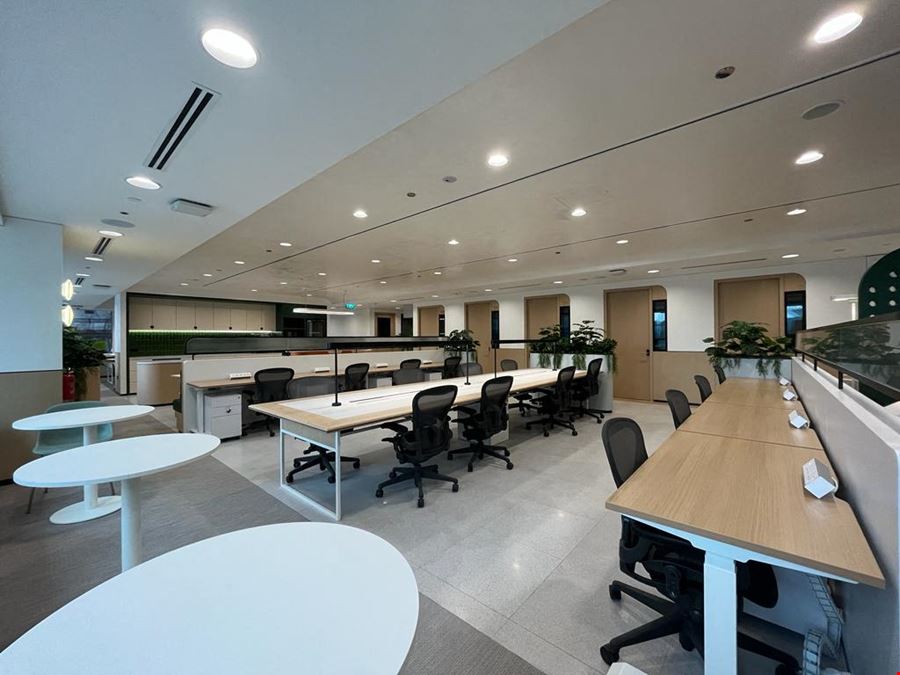 The Executive Centre - Singapore  - Singapore Land Tower