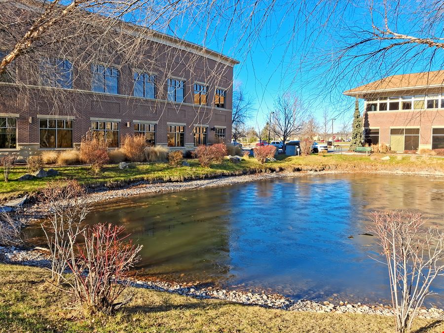 ID, Eagle - E Shore Drive