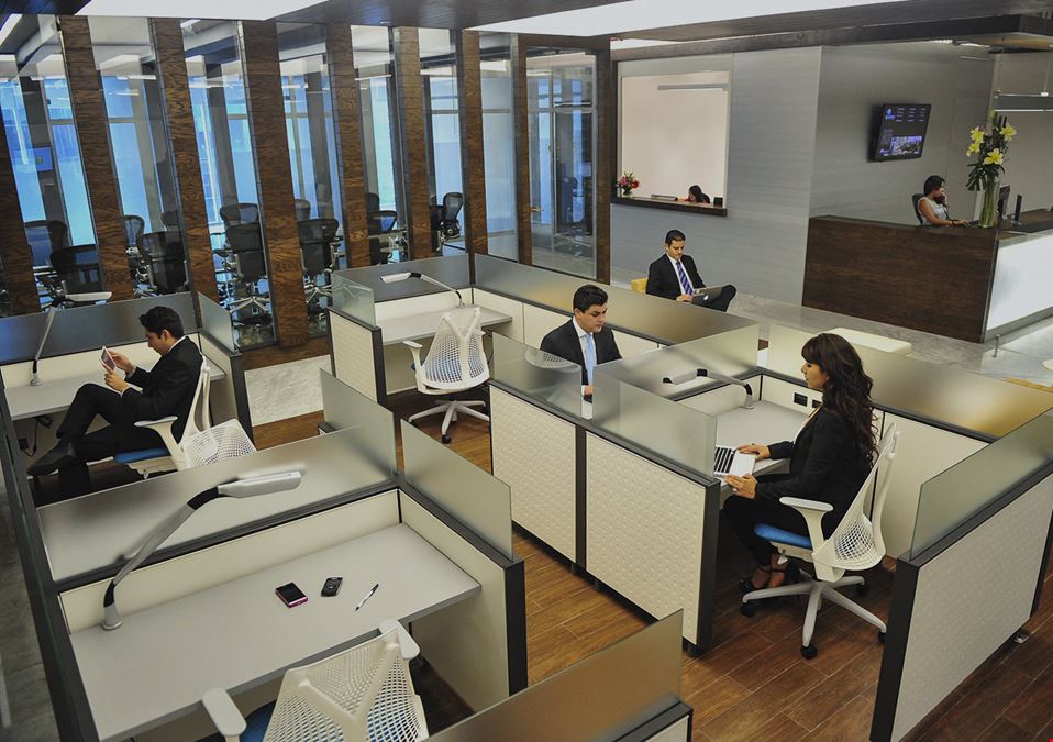 IOS OFFICES - Cervantes Saavedra 233