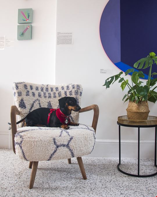 Wrap Space LTD - 83 Queens Road