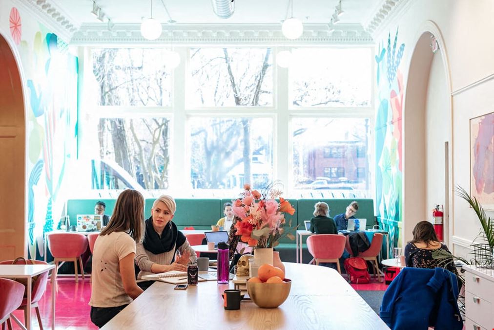 The Coven - St. Paul