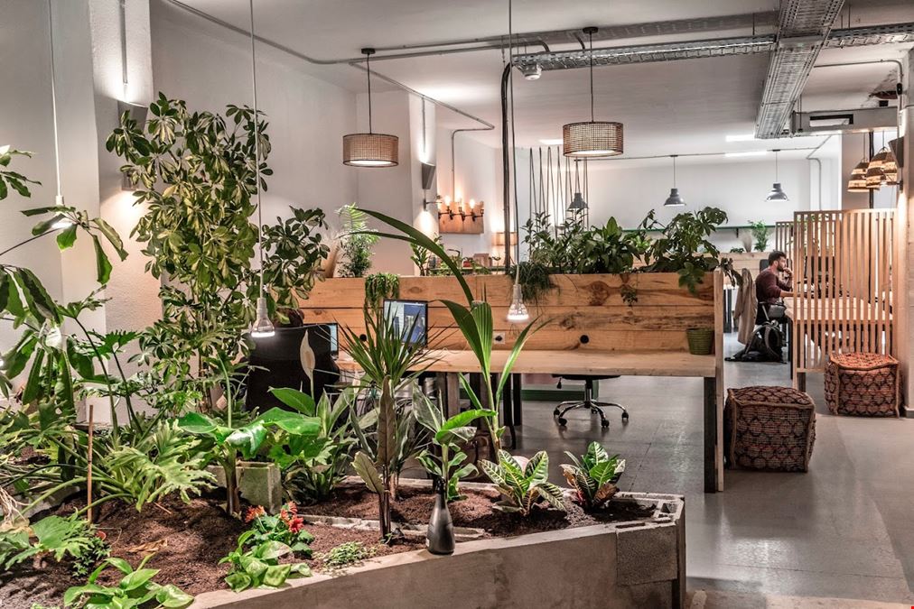 cómodo&co - Arxiduc